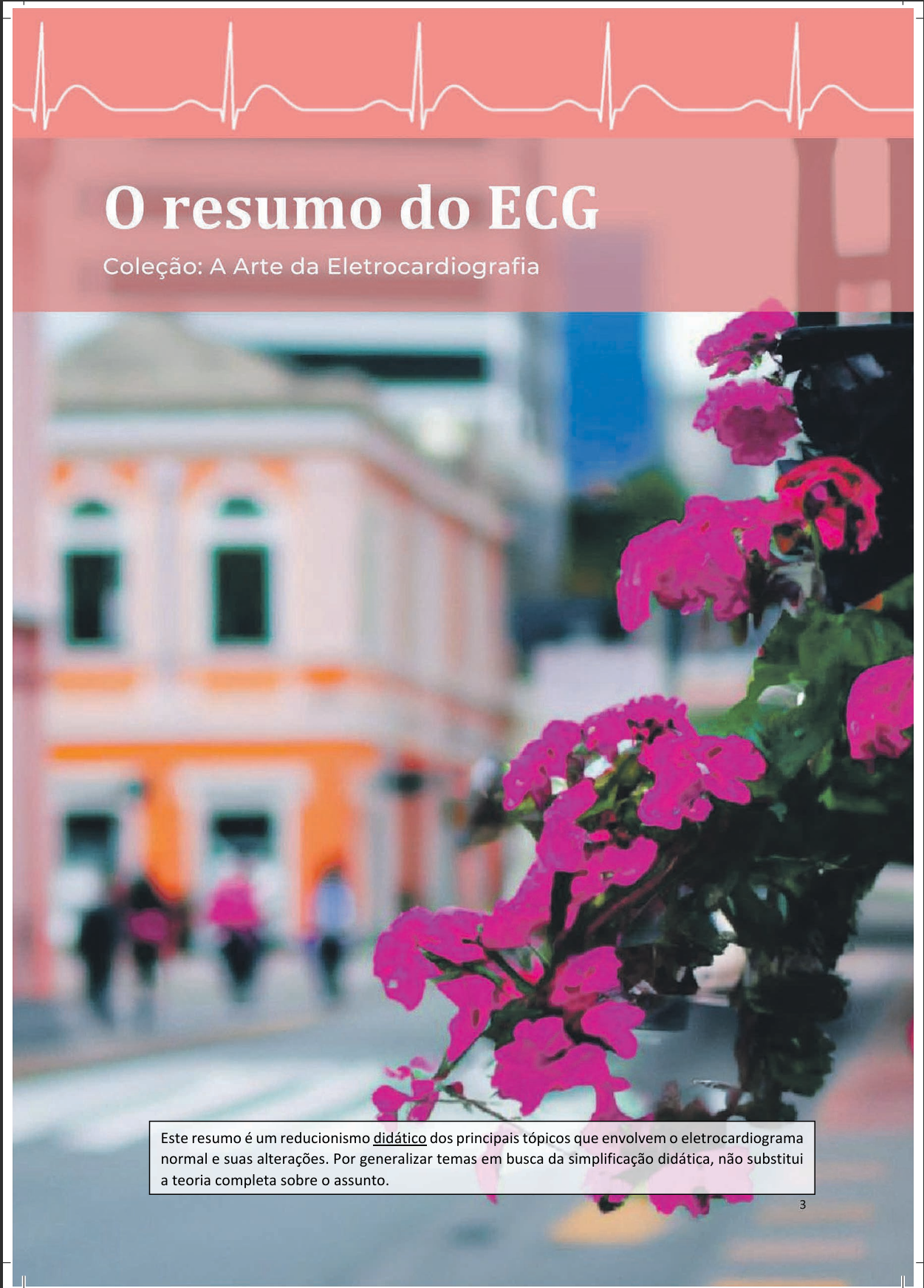 O Resumo do ECG - Volume 1